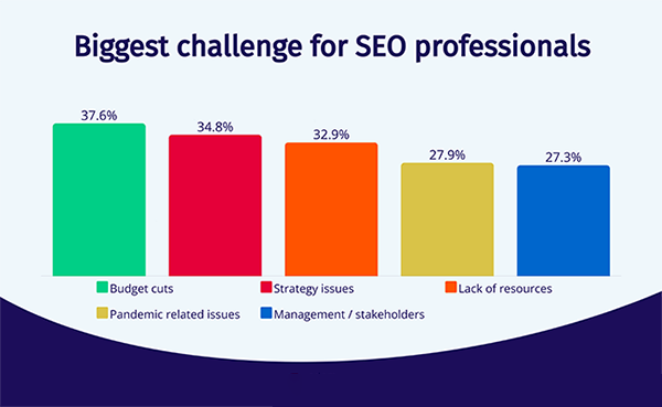 Challenge for SEo Proffessionals