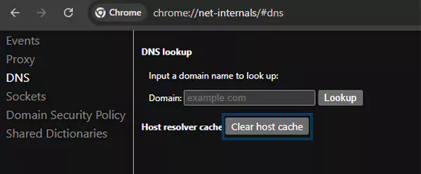 Chrome DNS settings panel