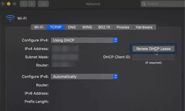 Renew DHCP Lease option in settings