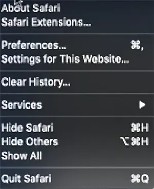 view source code on Safari